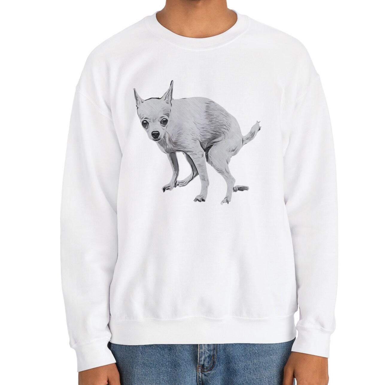 Pooping Chihuahua Sweatshirt, Pooping Dog